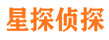 环县市调查公司